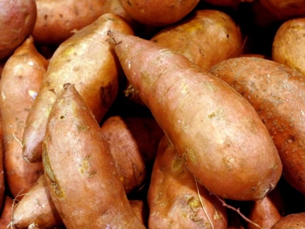 Are sweet potatoes a carbohydrate?
