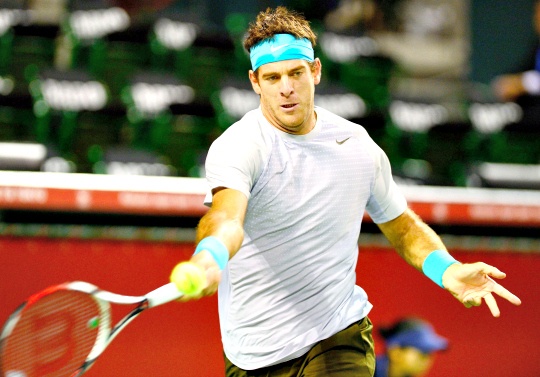 juan_martin_del_potro_1380709105_540x540.jpg