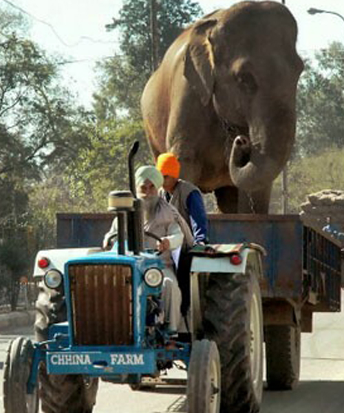 Funny Indian moment