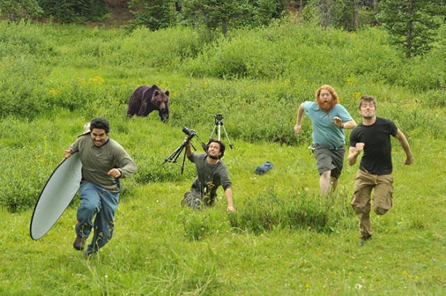 Bear Photographer