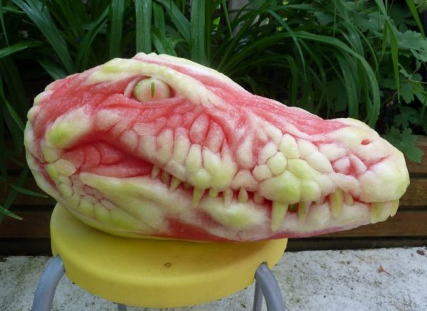 crocodile crocodile