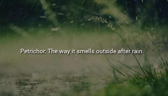 Everyday Things Everyday Things