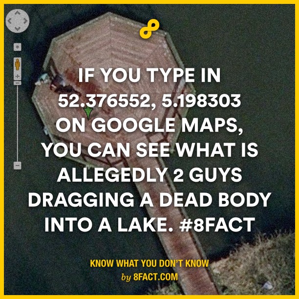 Image result for 8 Fact