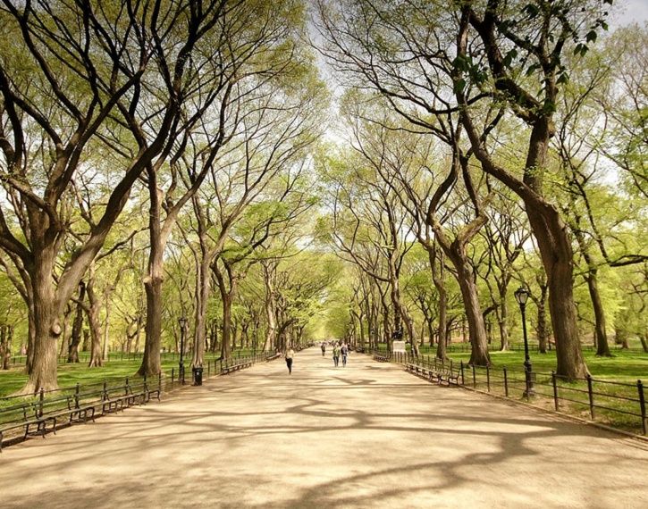 Central Park Central Park