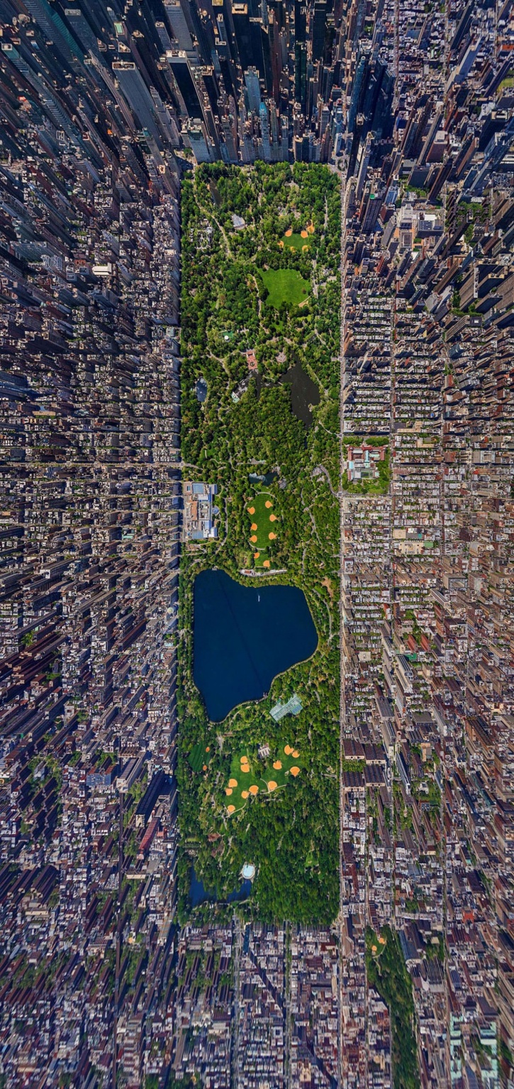 Central park Central park