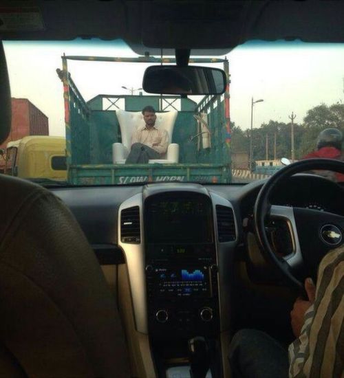 Royal king Royal king