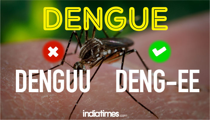 dengue dengue