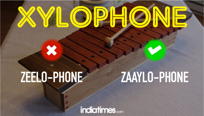 xylophone xylophone