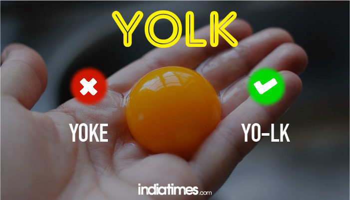 yolk yolk