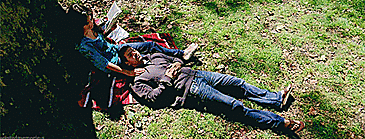 New york gif New york gif