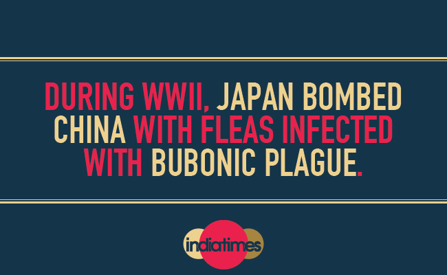 World War II World War II