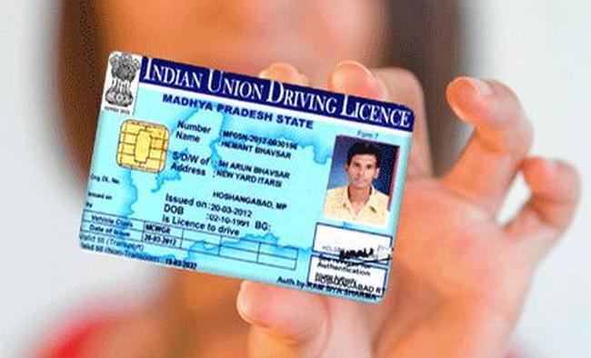 miami drivers license check