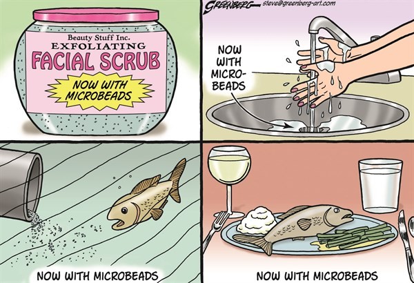 Microbeads are hurting the environment Microbeads are hurting the environment