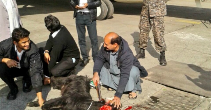 goat behead airport goat behead airport