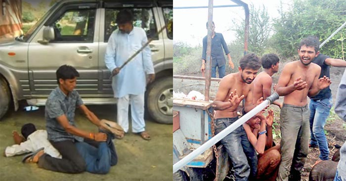 gau rakshak