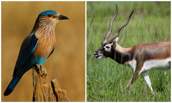 Did You Know That Every State And Union Territory Of India