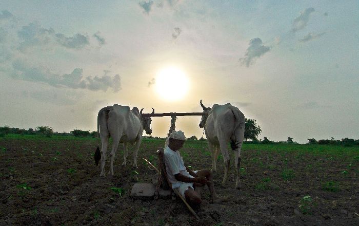 Farmer Suicides