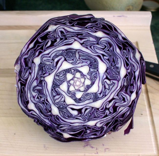 12_1483602125.jpg