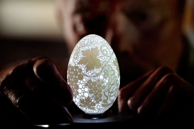 egg
