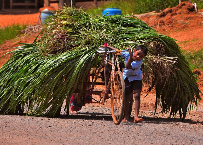 village empowerment 