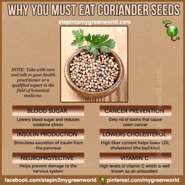 19 Amazing Benefits Of Fennel Seeds For Skin, Hair, And Health foto photo 19 Amazing Benefits Of Fennel Seeds For Skin, Hair, And Health
