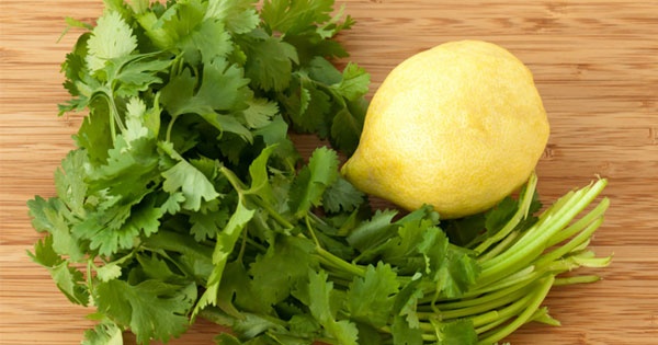 Coriander Leaves Juice Benefits For Weight Loss