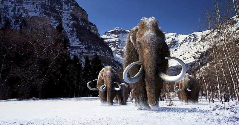 Snowball Earth: Scientists Discover How The Ice Age Helped Complex Life Evolve From Bacteria Snowball Earth: Scientists Discover How The Ice Age Helped Complex Life Evolve From Bacteria