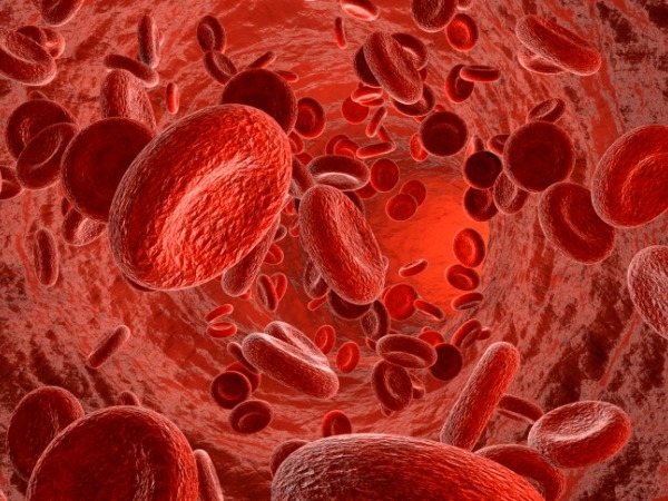 Blood Thinner Diets