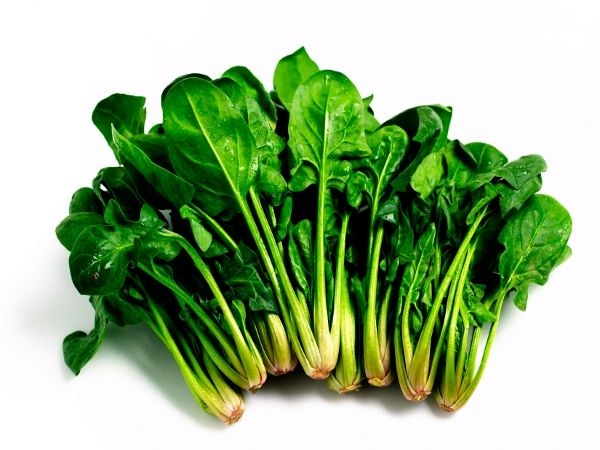 Dark Green Vegetables List