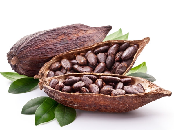 Image result for cacao beans
