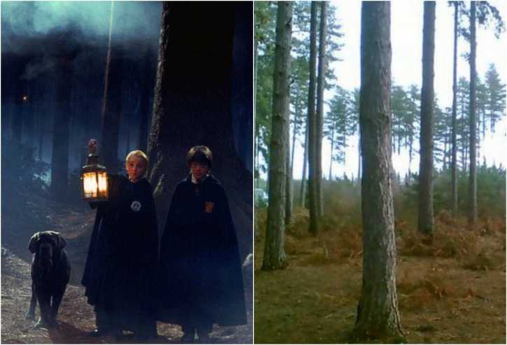 10 Places To Visit If You’re A DieHard Harry Potter Fan