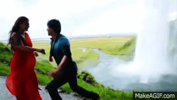 Dilwale