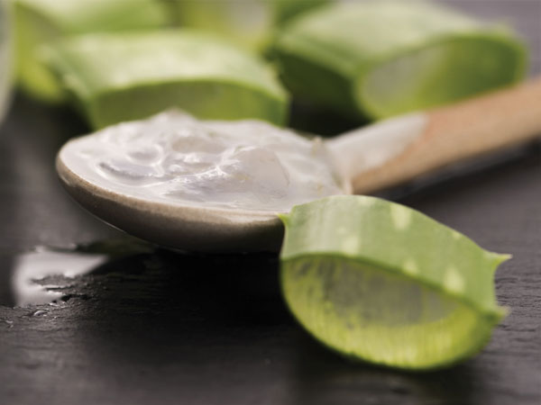 28 Reasons Why Aloe Vera Juice Should Be A Part Of Your ...