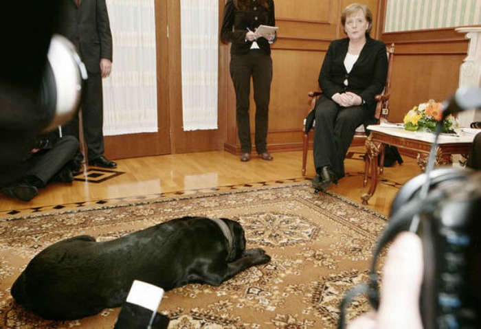 Vladimir Putin Is Trying His Best To Deny Setting His Dog Loose On