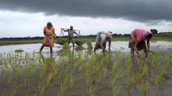 The Simple Irrigation System That's Been Helping A Village In Assam ...