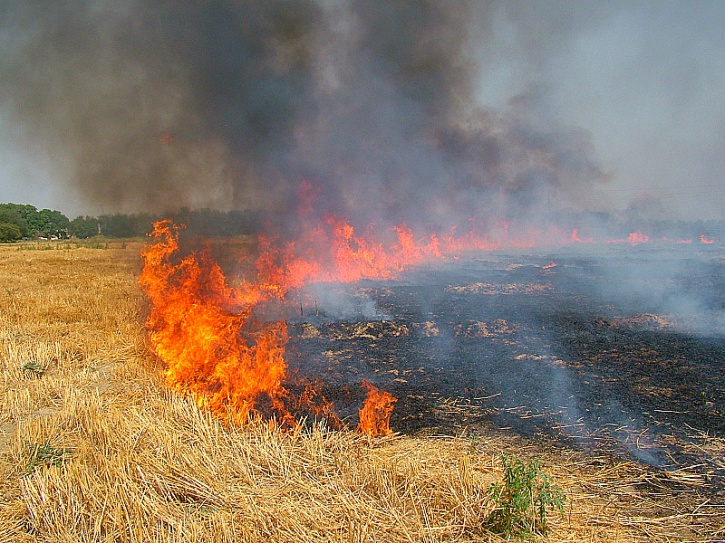 NASA Satellite Images Show Farmlands Across India On Fire As Farmers ...