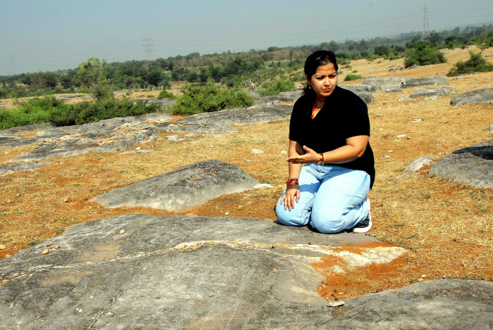 the discovery of the fossilized dinosaur eggs at the balasinor site in india the discovery of the fossilized dinosaur eggs at the balasinor site in india