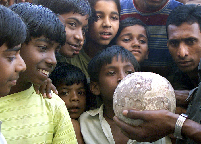 the discovery of the fossilized dinosaur eggs at the balasinor site in india the discovery of the fossilized dinosaur eggs at the balasinor site in india
