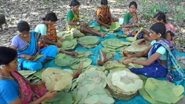 Siali Leaf Plates