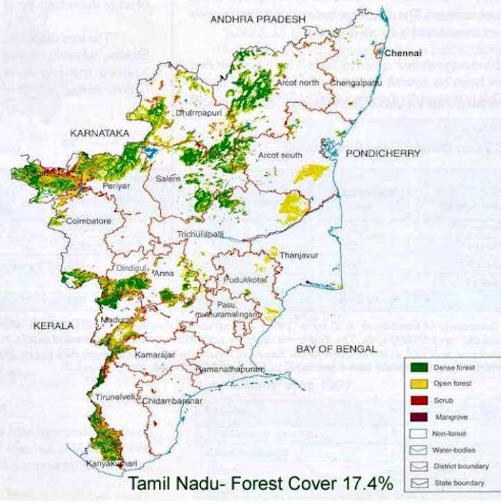 India's Forest Cover Is Reducing, Does The Indian Government Really