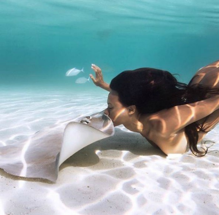 Naked girls swim with sharks 11