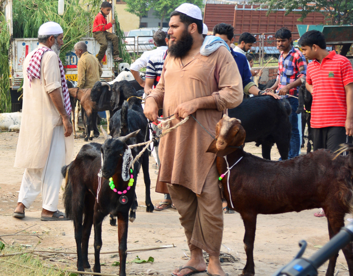 Muslim Manch In Awadh Will Not Do Qurbani On Eid, They Will Cut A Goat ...