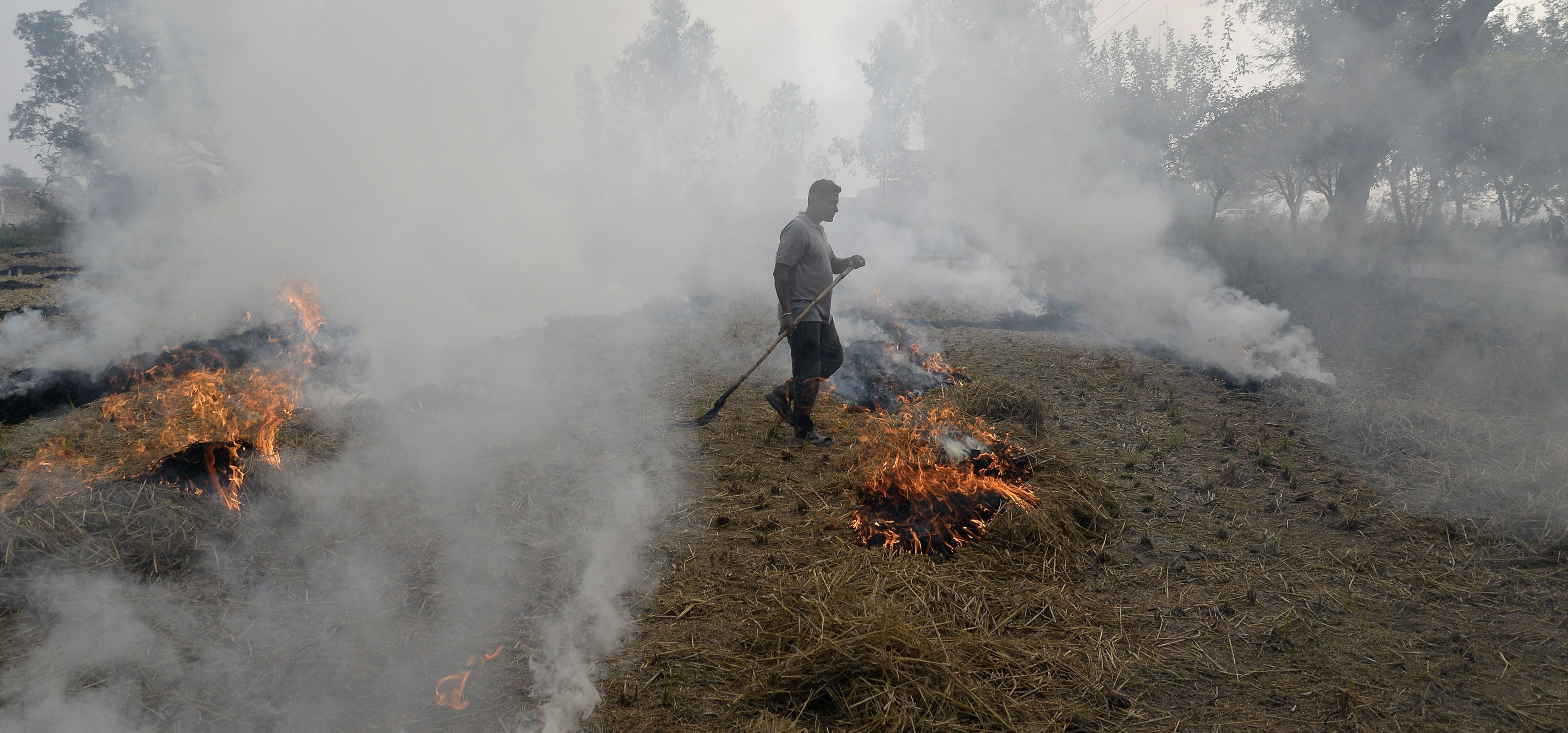 Farmers Near Delhi Quit Stubble Burning As Hazardous Smog Continues To ...