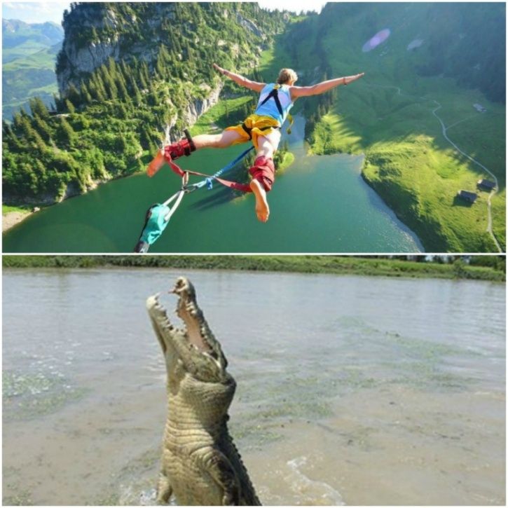 Unusual experience. Крокодил с селфи палкой. Крокодил откусил голову при прыжке с тарзанки. Bungee jumping over Crocodiles. Флай Райд крокодил фото.