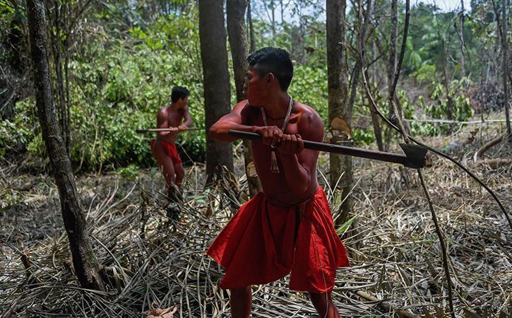 Meet The Waiapi Tribal People Of Amazon, Who Love To Drink Beer And ...