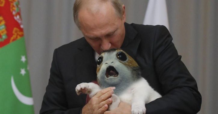 Putin Gets A New Puppy As Birthday Gift From Turkmenistan President ...