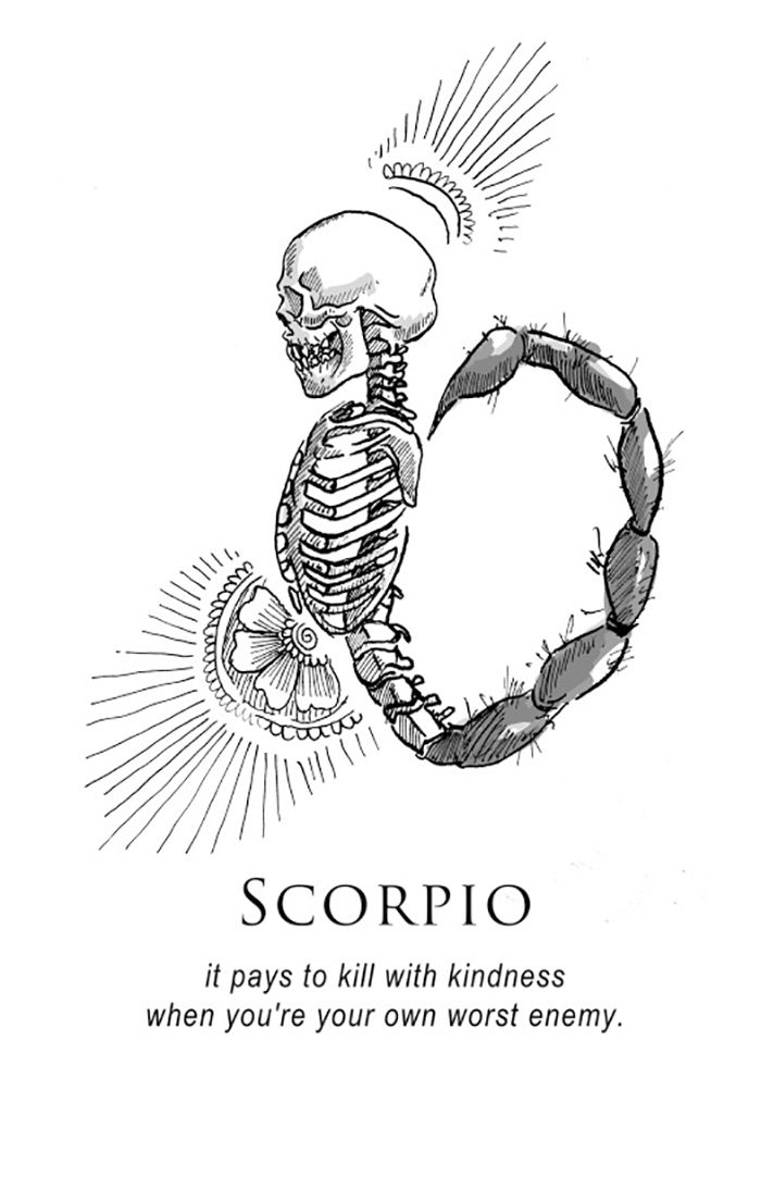 This Artist's Brutally Honest Interpretations Of Zodiac Signs Is A ...