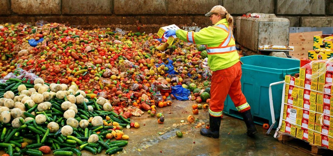 While Americans Wastes 1,50,000 Tonnes Of Food Daily, Almost 795