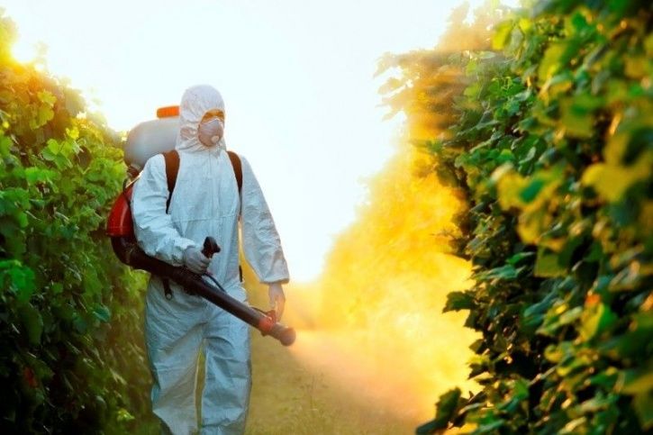 BakingSoda Can Wash Off 96 Percent Of Toxic Pesticides From Your Fruits And Vegetables