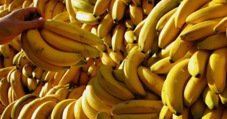   Bananas 